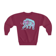 Load image into Gallery viewer, Youth Crewneck Sweatshirt