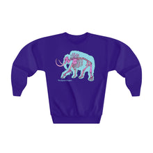 Load image into Gallery viewer, Youth Crewneck Sweatshirt