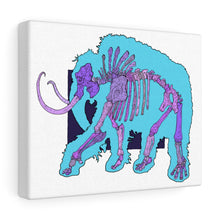 Load image into Gallery viewer, Canvas Gallery Wraps