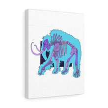 Load image into Gallery viewer, Canvas Gallery Wraps