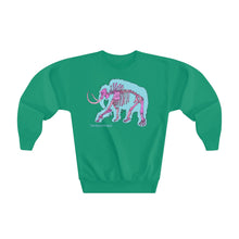 Load image into Gallery viewer, Youth Crewneck Sweatshirt