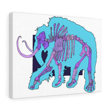 Load image into Gallery viewer, Canvas Gallery Wraps