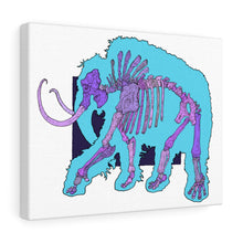 Load image into Gallery viewer, Canvas Gallery Wraps