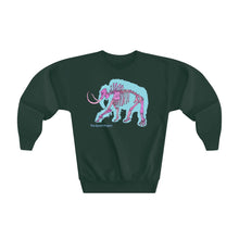 Load image into Gallery viewer, Youth Crewneck Sweatshirt