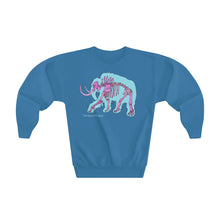 Load image into Gallery viewer, Youth Crewneck Sweatshirt