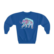 Load image into Gallery viewer, Youth Crewneck Sweatshirt